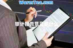 审计报告意见是什么