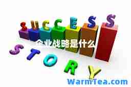 企业战略是什么