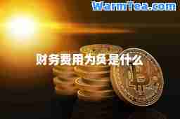 财务费用为负是什么