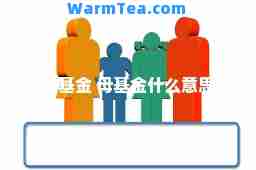 母基金 母基金什么意思