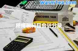 所得税科目会计分录