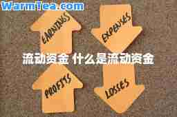 流动资金 什么是流动资金