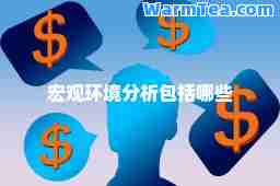 宏观环境分析包括哪些