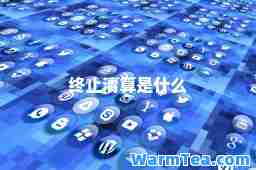终止清算是什么