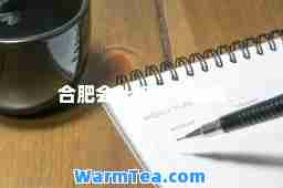 肥会计初级考试网