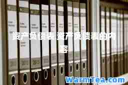 资产负债表 资产负债表的内容