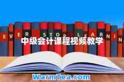 中级会计课程视频教学