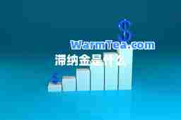 滞纳金是什么