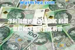 净利润增长率计算公式 利润总额和净利润的区别会
