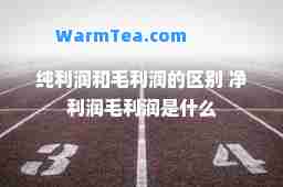 纯利润和毛利润的区别 净利润毛利润是什么