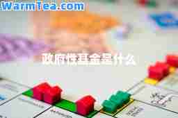 政府性基金是什么