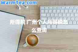 所得税 广州个人所得税怎么查询