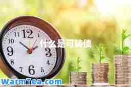 什么是可转债