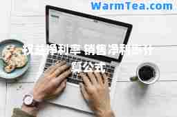 权益净利率 销售净利率计算公式