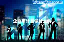 企业审计是做什么的