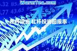 杠杆投资 杠杆率怎么算