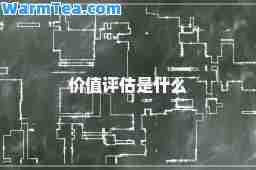 价值评估是什么
