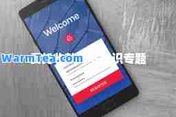 委托收款背书知识专题
