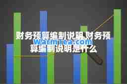 财务预算编制说明 财务预算编制说明是什么