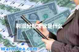 利润分配决议是什么