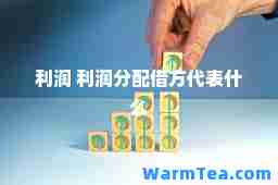 利润 利润分配借方代表什么