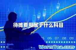 待摊费用属于什么科目