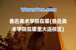 鲁迅美术学院在哪(鲁迅美术学院在哪里大连校区)