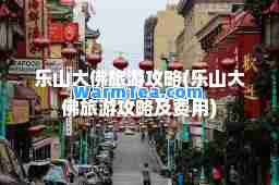 乐山大佛旅游攻略(乐山大佛旅游攻略及费用)