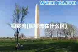 铜锣湾(铜锣湾在什么区)
