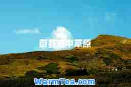 蔚县空中草原