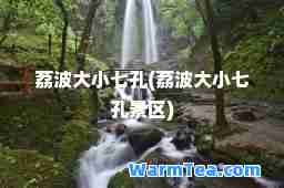 荔波大小七孔(荔波大小七孔景区)