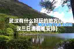 武汉有什么好玩的地方(武汉三日游安排)