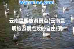 云南昆明旅游景点(云南昆明旅游景点攻略自由行)