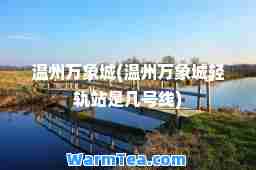 温州万象城(温州万象城轻轨站是几号线)