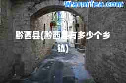 黔西县(黔西县有多少个乡镇)
