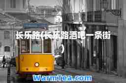 长乐路(长乐路酒吧一条街)