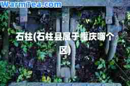 石柱(石柱县属于重庆哪个区)