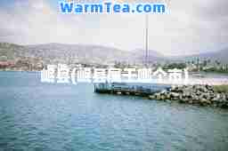 岷县(岷县属于哪个市)