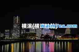 横滨(横滨轮胎)