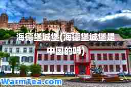海德堡城堡(海德堡城堡是中国的吗)