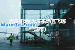 大庆机场(大庆机场直飞哪些城市)