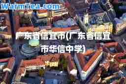 广东省信宜市(广东省信宜市华信中学)