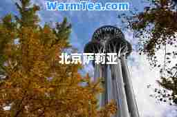 北京萨莉亚