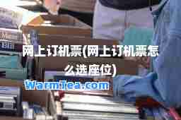 网上订机票(网上订机票怎么选座位)