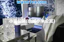 小米公寓(盐城小米公寓)