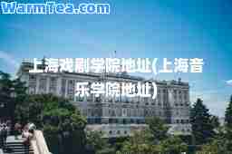 上海戏剧学院地址(上海音乐学院地址)
