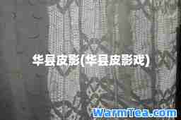 华县皮影(华县皮影戏)