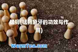 猛犸(猛犸象牙的功效与作用)