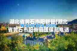 湖北省黄石市阳新县(湖北省黄石市阳新县医保局电话)