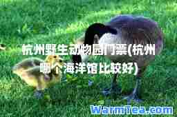 杭州野生动物园门票(杭州哪个海洋馆比较好)